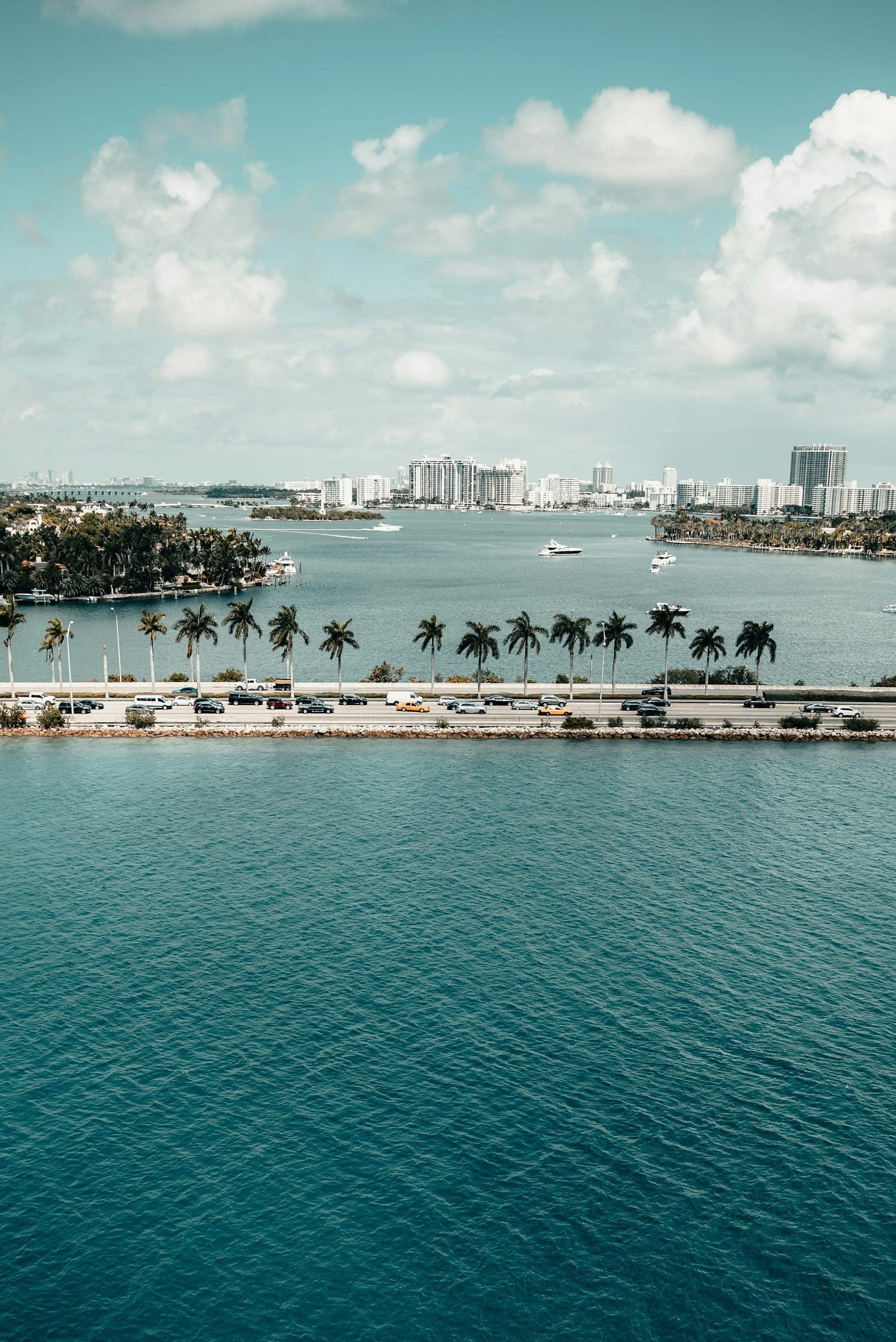 Best Plastic Surgeons in Miami (2025 Guide) (city-wide)